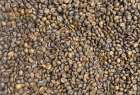 vagreen coffee